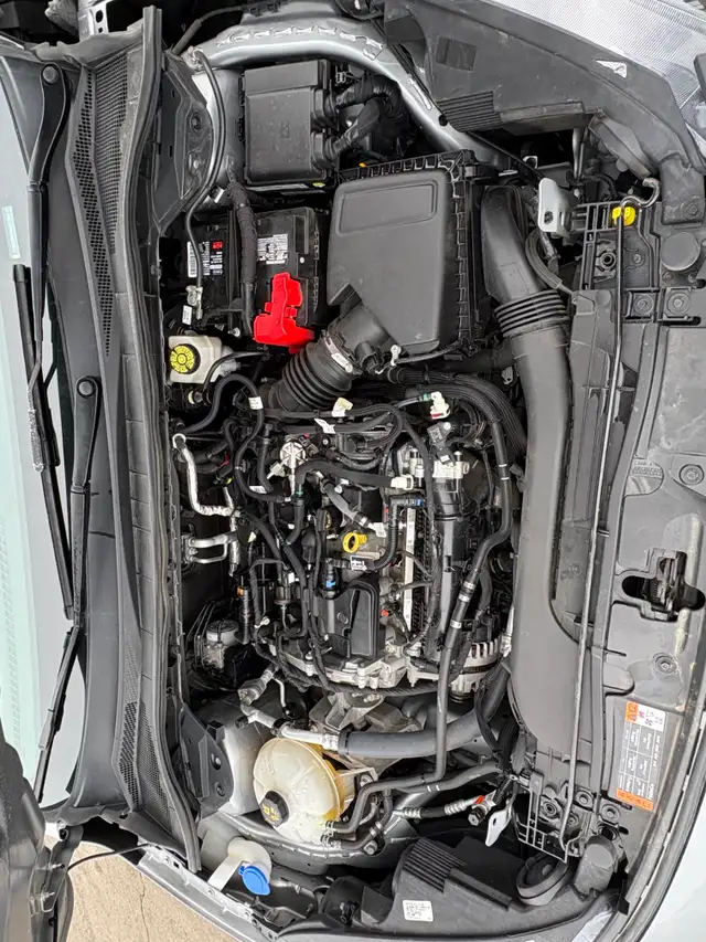 2021 Ford Escape SE AWD - Photo 25