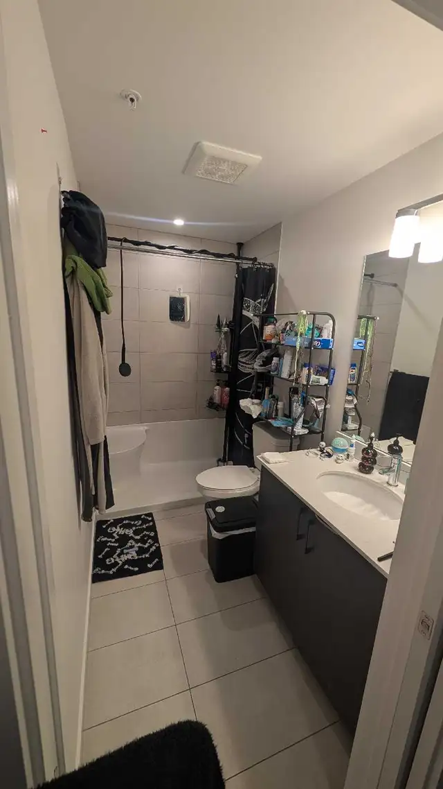 PET FRIENDLY 2 bed, 2 bath   Den - Photo 2