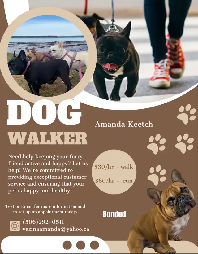 Amanda’s Dog Walking