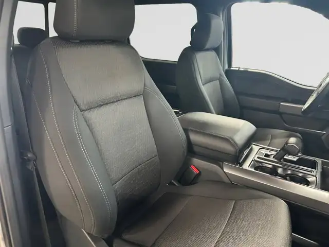 2026 Ford F-150 XLT - Photo 12