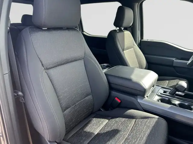2026 Ford F-150 XLT - Photo 12