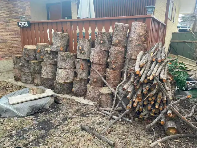 Pine tree wood stamp