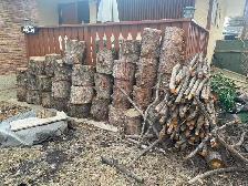 Pine tree wood stamp