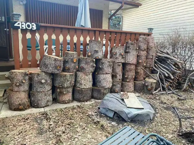 Pine tree wood stamp - Photo 3