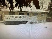 One bedroom suite for rent