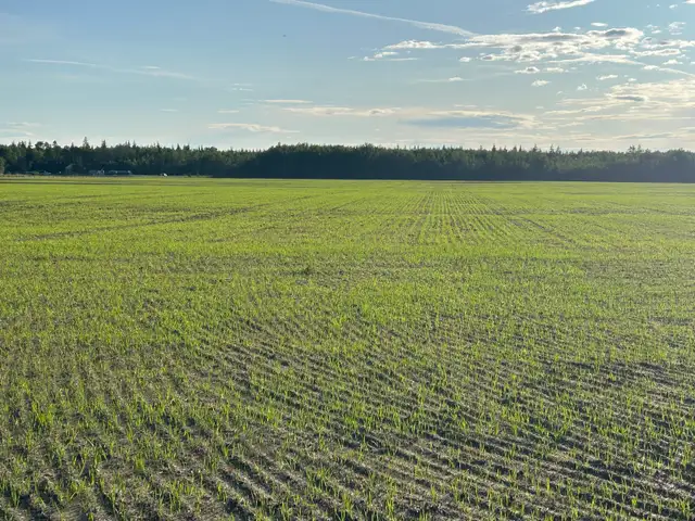 2003 Flexicoil 5000/3450 Airdrill - Photo 10