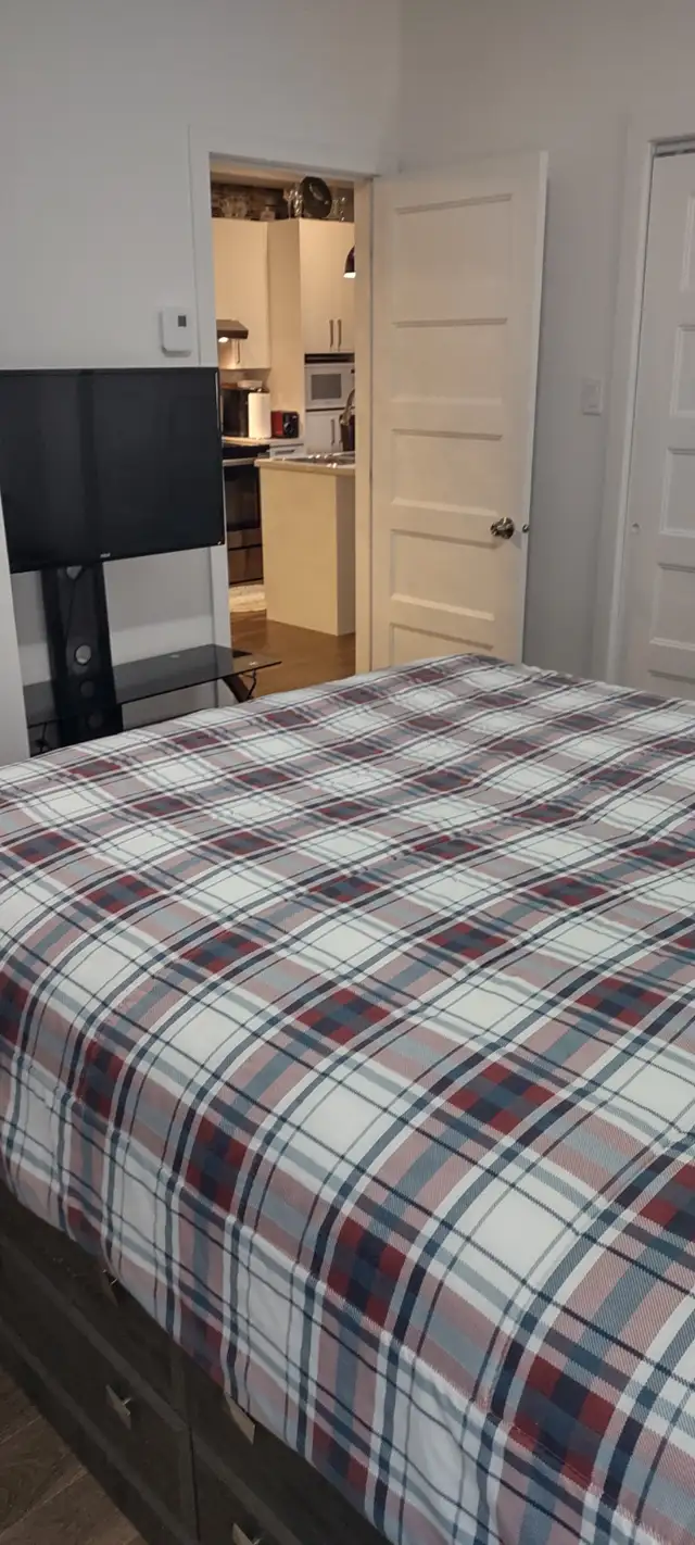 ROOM FOR RENT – AVAILABLE MAY 1 - Photo 3