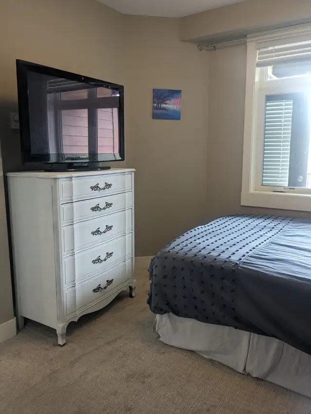 Beautiful 1 bedroom 1 bath apartment across from TRU Kamloops - Photo 4