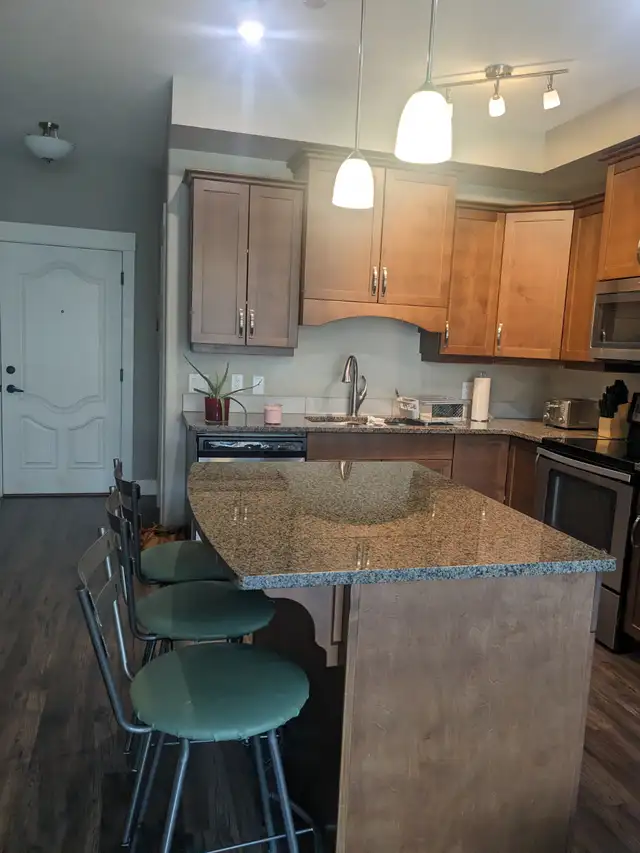 Beautiful 1 bedroom 1 bath apartment across from TRU Kamloops - Photo 7