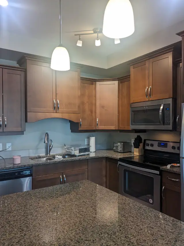 Beautiful 1 bedroom 1 bath apartment across from TRU Kamloops - Photo 8