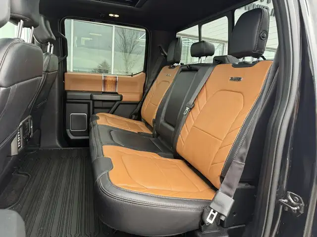 2017 Ford F-150 Limited - Photo 21