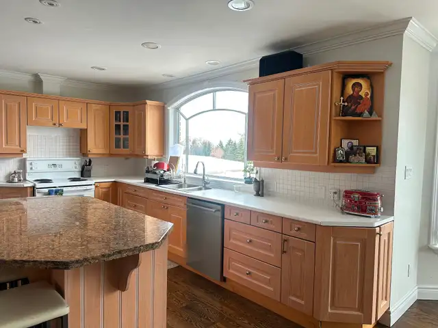 Kitchen Island and all kitchen cabinets