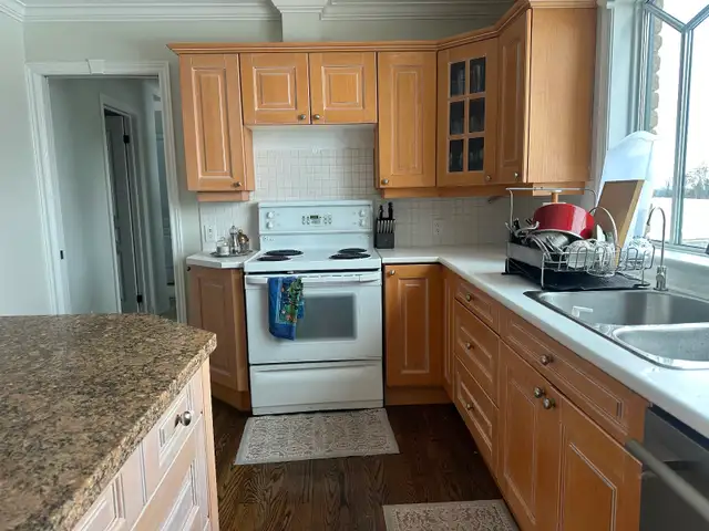 Kitchen Island and all kitchen cabinets - Photo 2