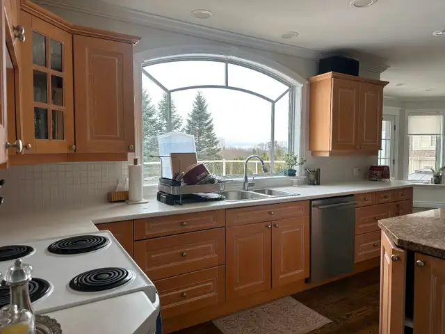 Kitchen Island and all kitchen cabinets - Photo 4