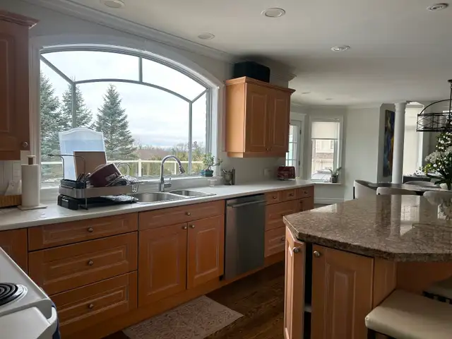Kitchen Island and all kitchen cabinets - Photo 5