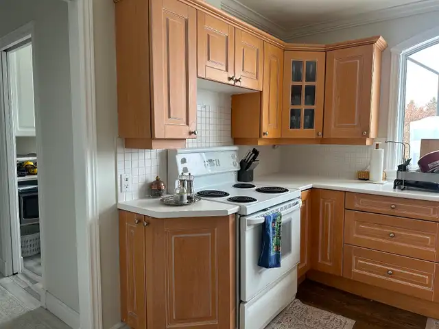 Kitchen Island and all kitchen cabinets - Photo 6
