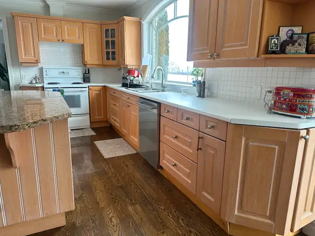 Kitchen Island and all kitchen cabinets - Photo 8