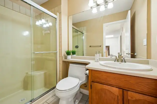 ✨ New Rental Alert!