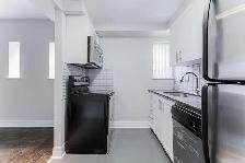 1 Bedroom Apartment for Rent - 77 Wellesley Street East