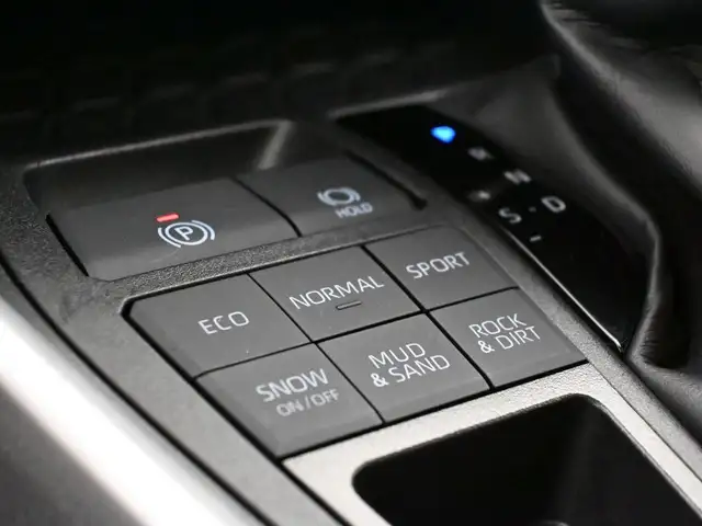 2025 Toyota RAV4 XLE AWD | HEATED SEATS | SUNROOF & MORE! - Photo 17