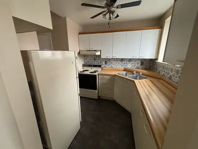 2 Bdrm in the Heart of Downtown Sarnia! @ 100C - Photo 4