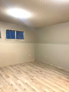 2 Bedroom Basement Suite! - Photo 5