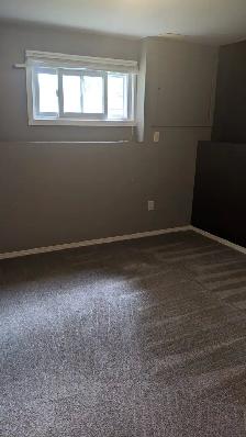 2 Bedroom Basement Suite! - Photo 11