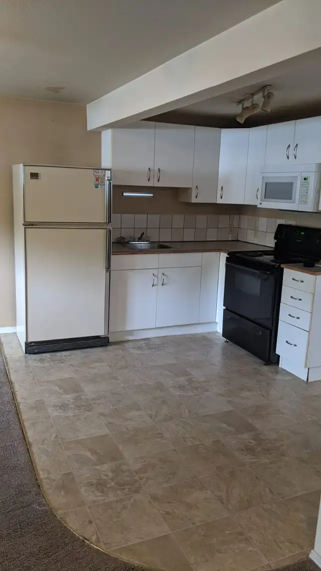 2 Bedroom Basement Suite! - Photo 18