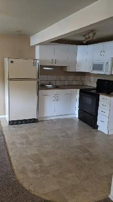 2 Bedroom Basement Suite! - Photo 18