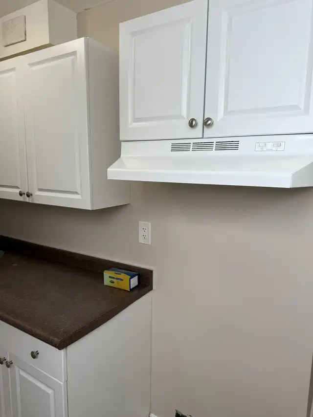 Beautiful and Quiet Basement Suite in Highland Green! - Photo 2