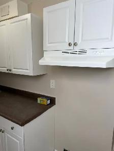 Beautiful and Quiet Basement Suite in Highland Green! - Photo 2