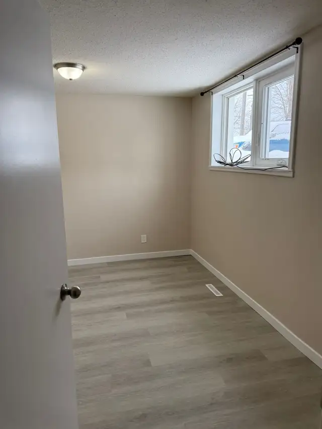 Beautiful and Quiet Basement Suite in Highland Green! - Photo 3