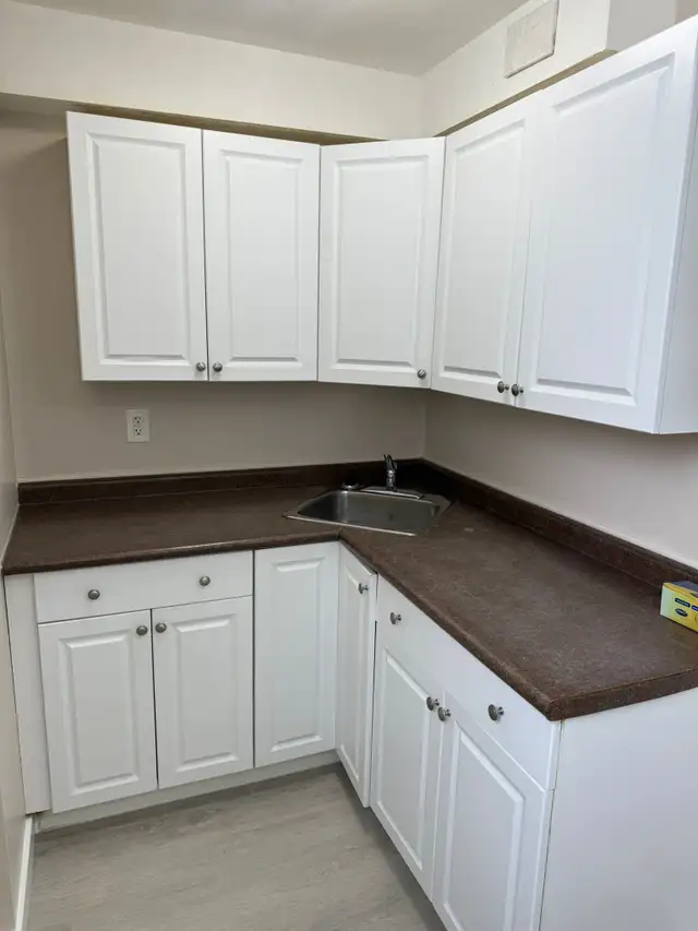 Beautiful and Quiet Basement Suite in Highland Green! - Photo 8