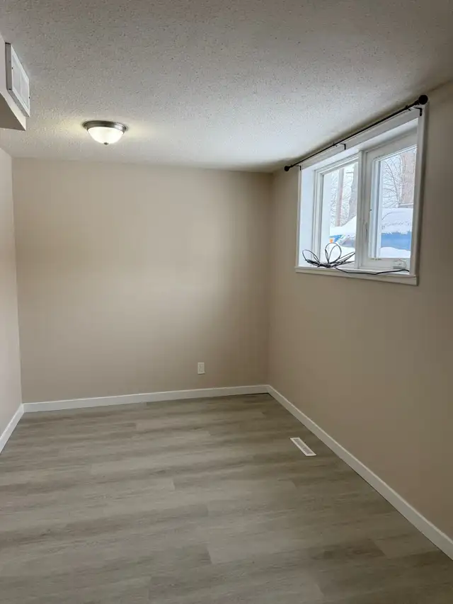 Beautiful and Quiet Basement Suite in Highland Green! - Photo 11