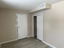 Beautiful and Quiet Basement Suite in Highland Green! - Photo 12