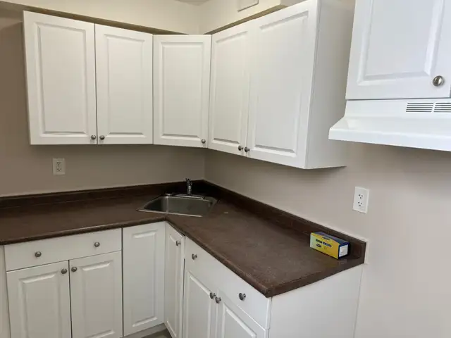 Beautiful and Quiet Basement Suite in Highland Green! - Photo 14