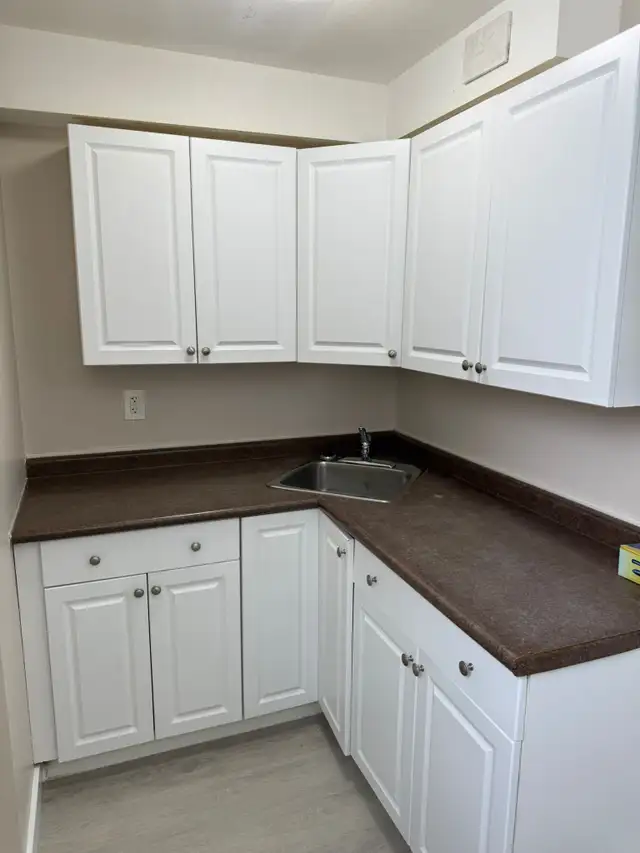 Beautiful and Quiet Basement Suite in Highland Green! - Photo 16