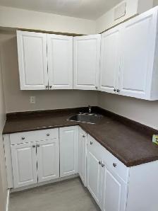 Beautiful and Quiet Basement Suite in Highland Green! - Photo 16