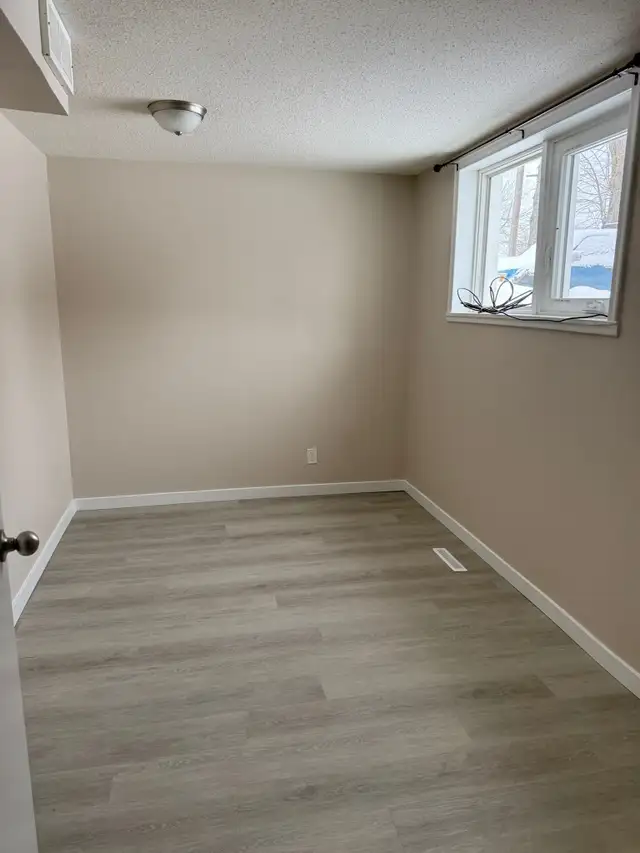 Beautiful and Quiet Basement Suite in Highland Green! - Photo 17