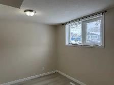Beautiful and Quiet Basement Suite in Highland Green! - Photo 20