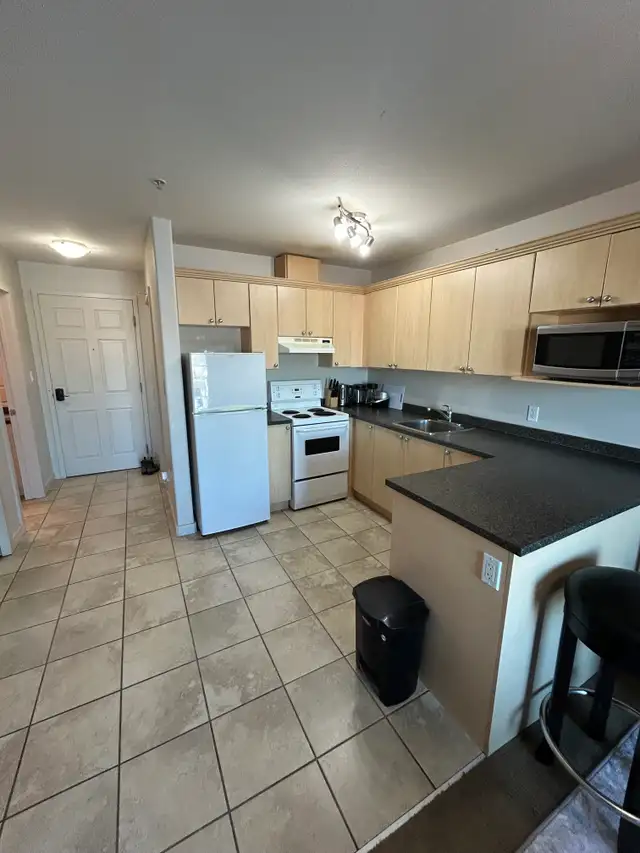 607-8528 Manning Ave - Photo 3