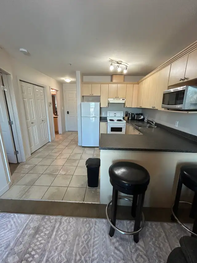 607-8528 Manning Ave - Photo 5