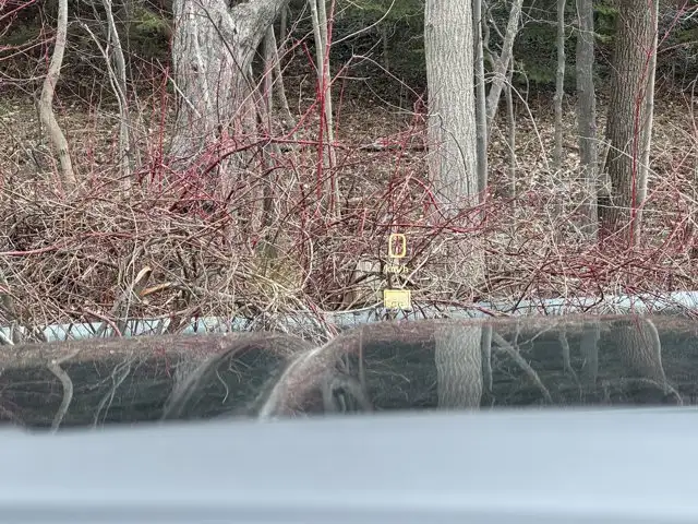 2026 GMC Sierra 2500HD Denali- Snow Plow Prep/Camper Pkg - Photo 30