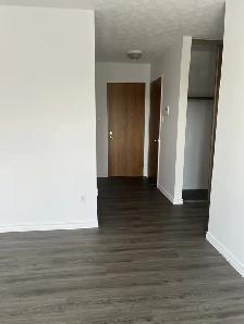 Granby 4 1/2 libre MAI  55 ANS ET PLUS NON FUMEUR NON ANIMAUX