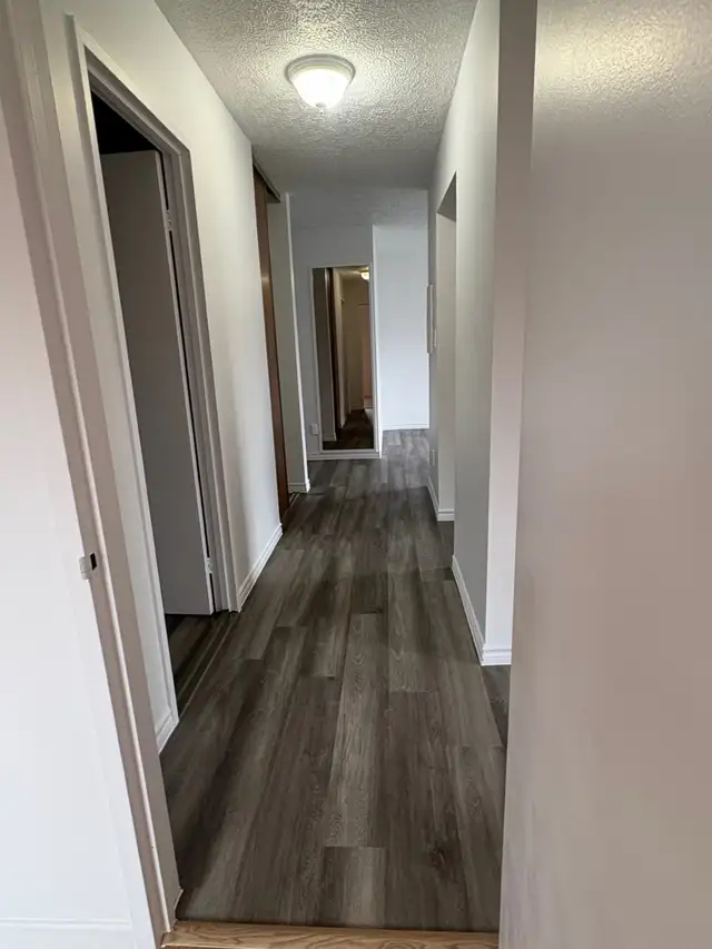 Granby 4 1/2 libre MAI  55 ANS ET PLUS NON FUMEUR NON ANIMAUX - Photo 3