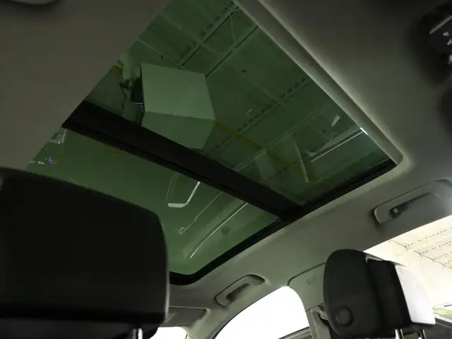 2020 Audi Q3 Progressiv S-Line No Accident Panoramic Roof Side A - Photo 21