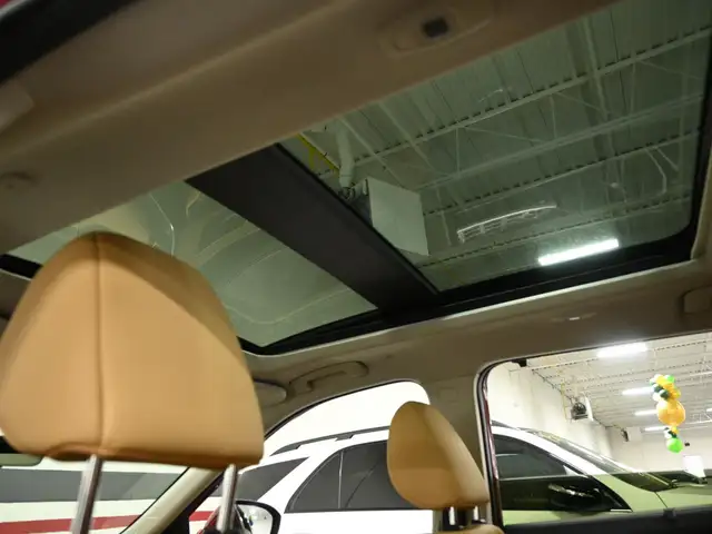 2023 Nissan Rogue Platinum No Accident BOSE HUD 360CAM Navigatio - Photo 25