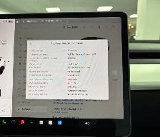 2021 Tesla Model Y Performance AWD - Photo 22