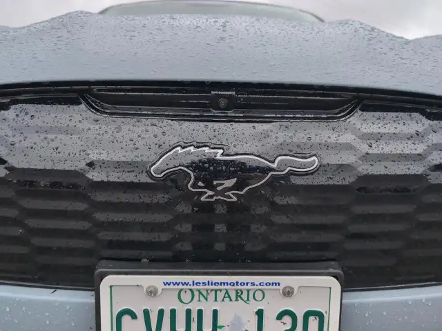 2025 Ford Mustang Mach-E Premium AWD - Photo 8