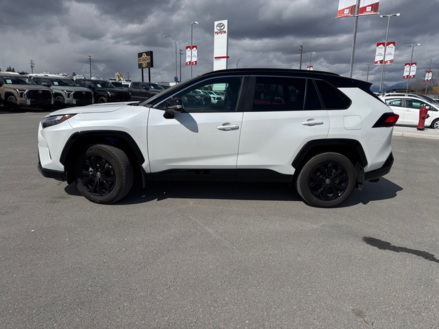 2025 Toyota RAV4 Hybrid XSE - Sunroof - Power Liftgate - Photo 2